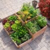 3.5×4 Tiered Raised Garden Bed closeup view with plants overhead view