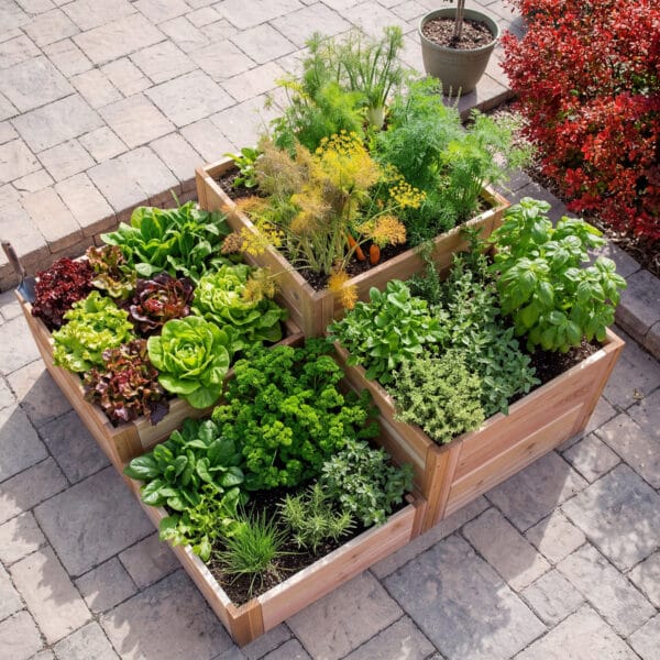 3.5×4 Tiered Raised Garden Bed closeup view with plants overhead view