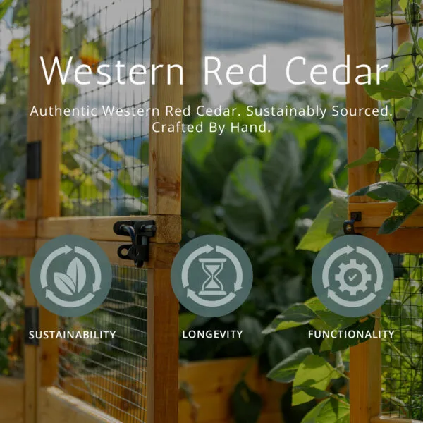 Western Red Cedar Photo Card 2