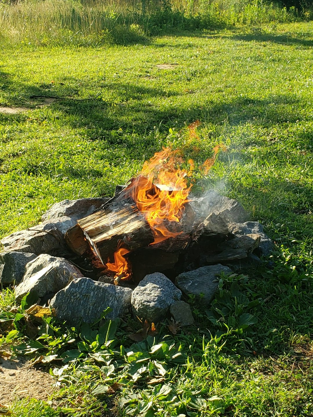a fire burning in a grassy area
