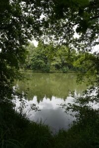 The lake reflects the trees under a leafy frame.