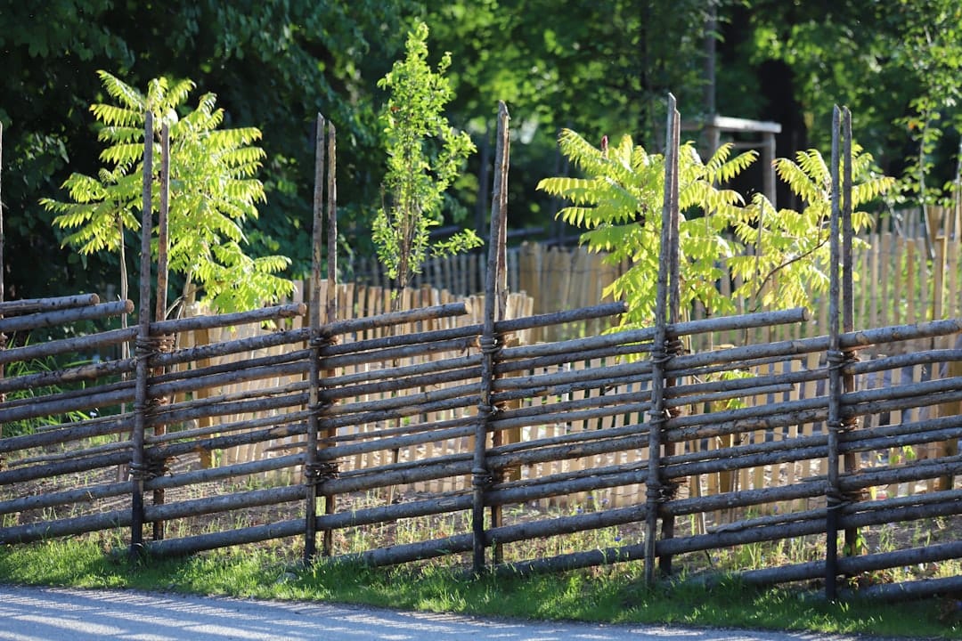 A wooden fence next to a road with trees in the background