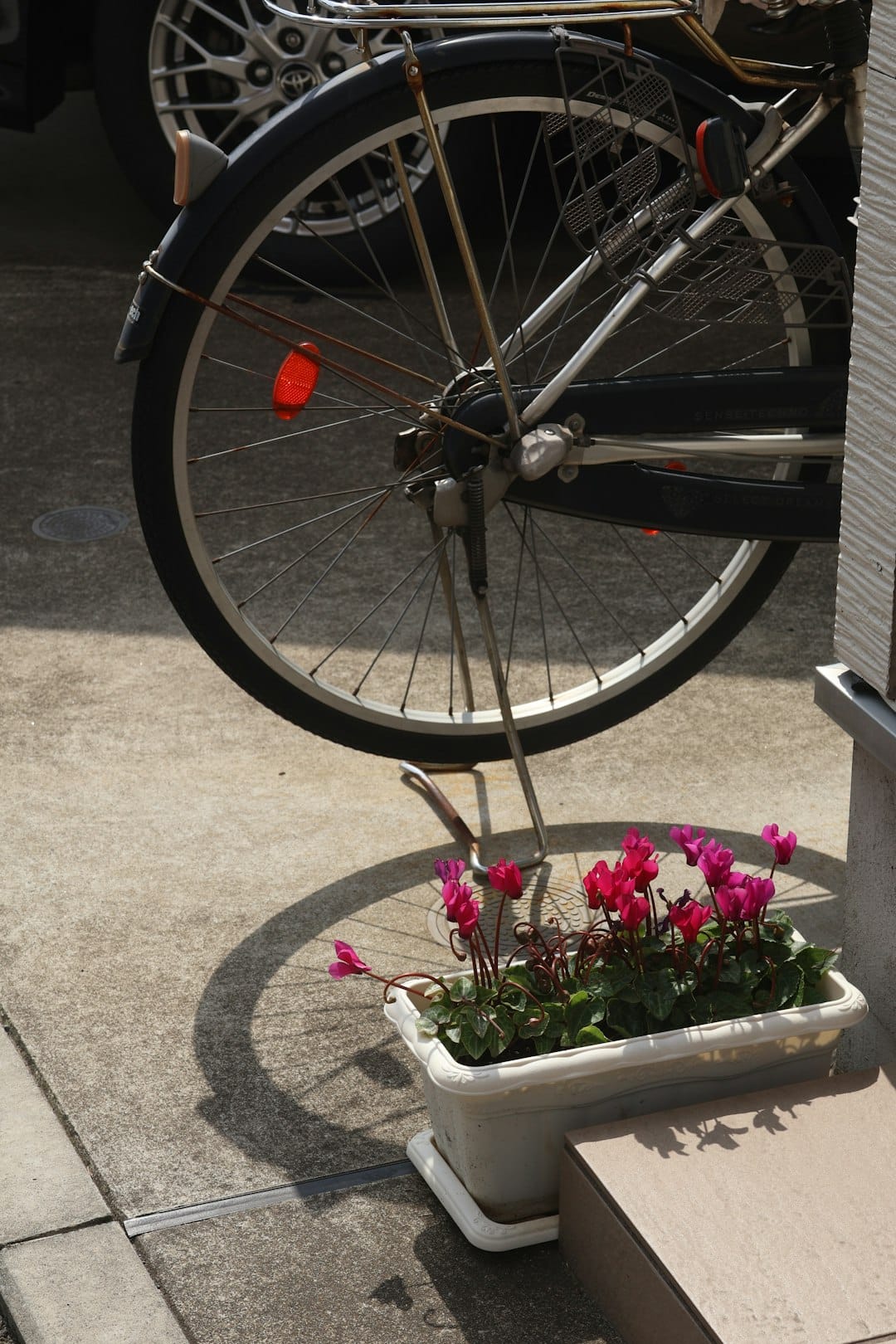 A bicycle wheel casts a shadow on flowers.