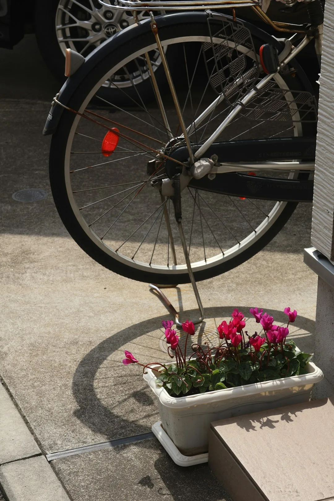 Photo by Yanhao Fang A bicycle wheel casts a shadow on flowers.