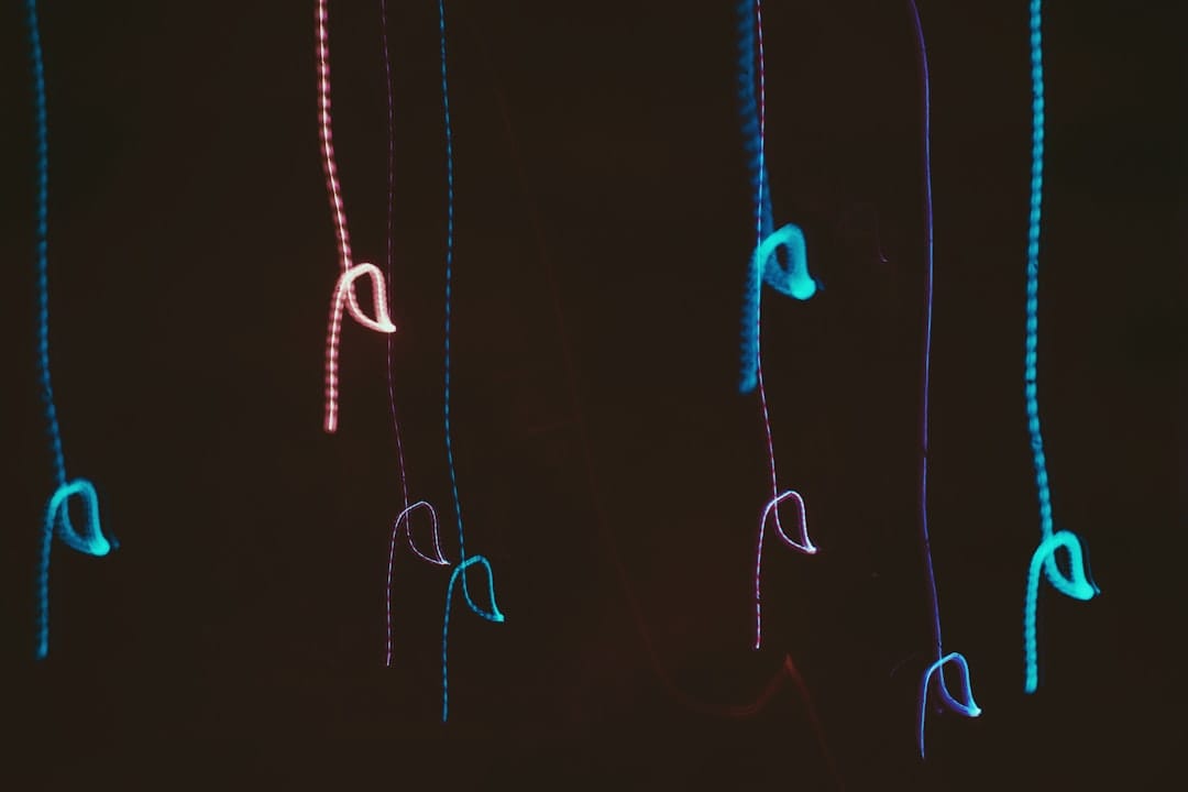 Photo by Nina LED strings