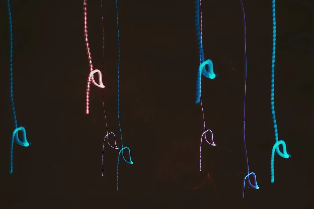 Photo by Nina LED strings