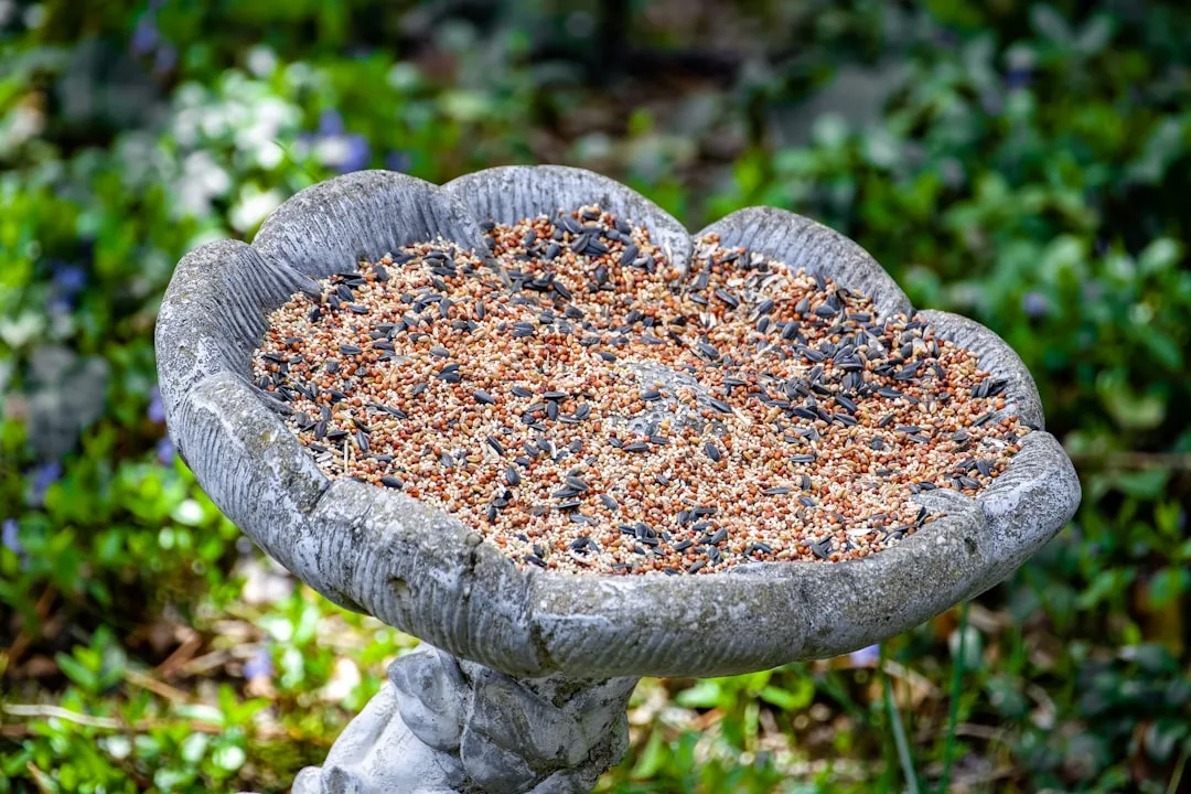 Photo by Robert Woeger a bird bath in the middle of a garden