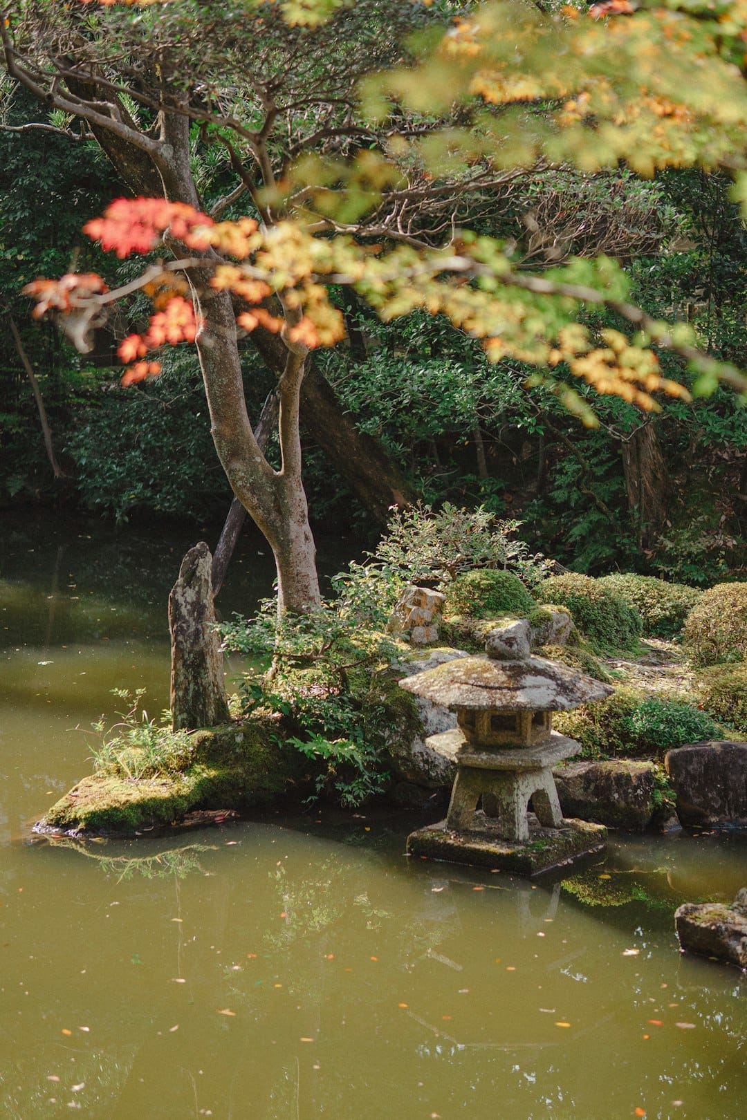 Photo by ika ika Stone lantern in a tranquil japanese garden pond