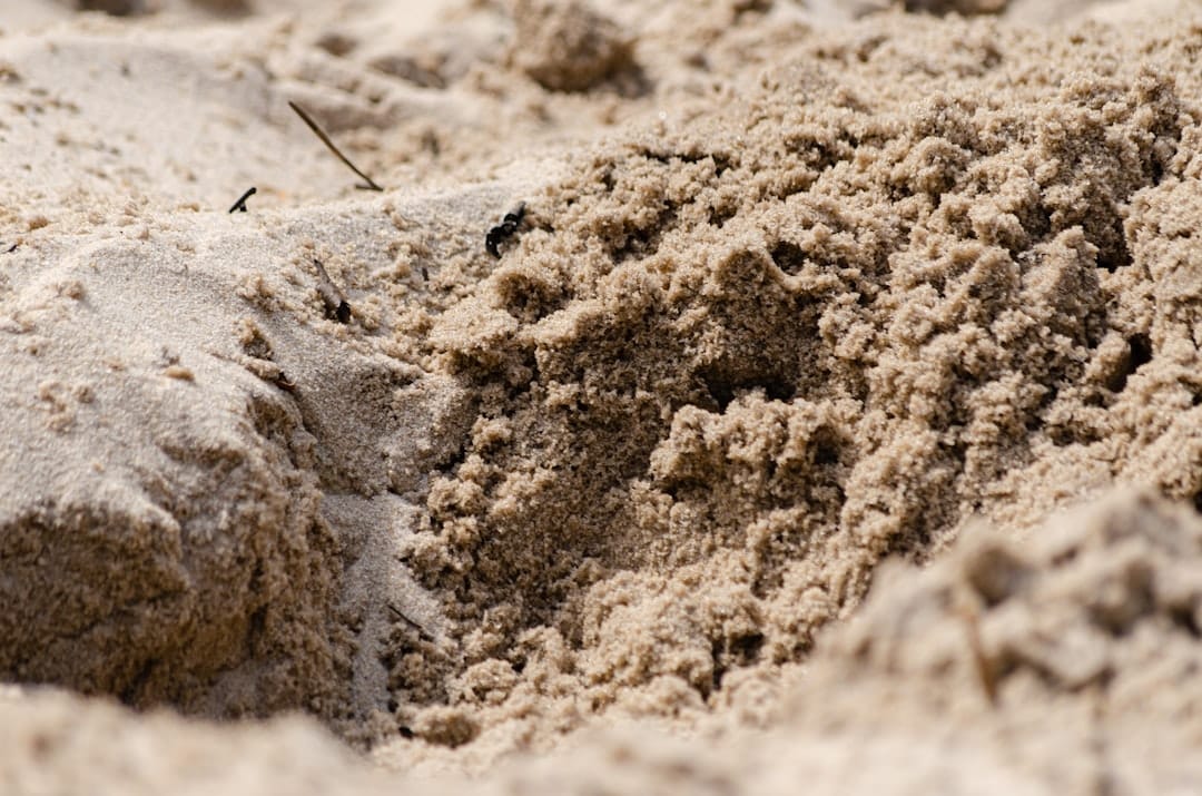 a close up of a pile of sand on a beach
