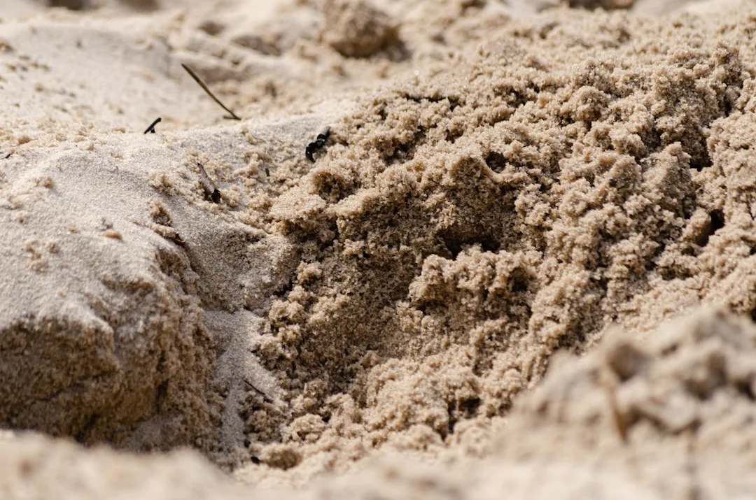 a close up of a pile of sand on a beach