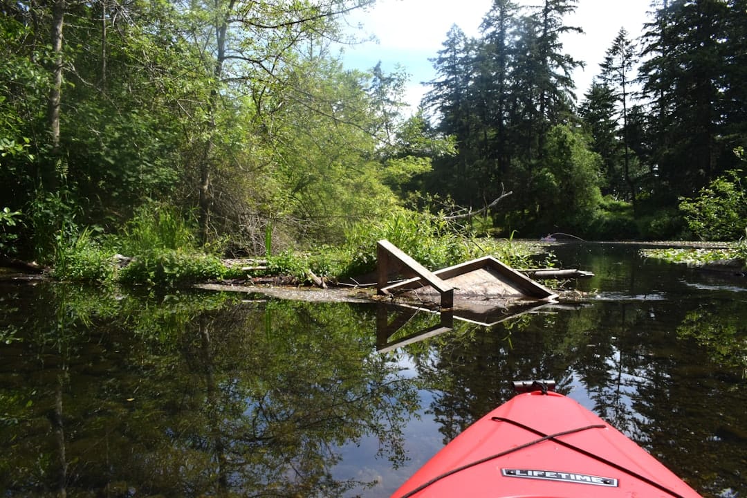 Photo by fr0ggy5 A red kayak in the middle of a river