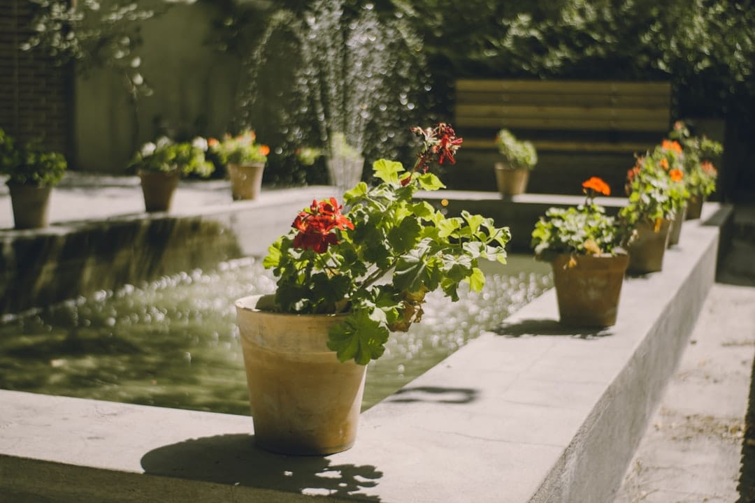 Photo by mdreza jalali Potted flowers line a fountain with a bench behind.