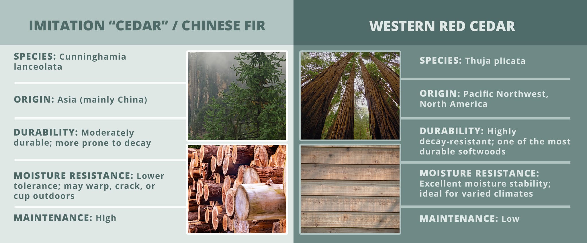 Cedar vs Imitation Comparison