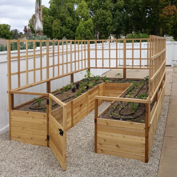 Western Red Cedar Lattice Lattice Option for Raised Garden Bed Kit Outdoor Living Today Cedar 5