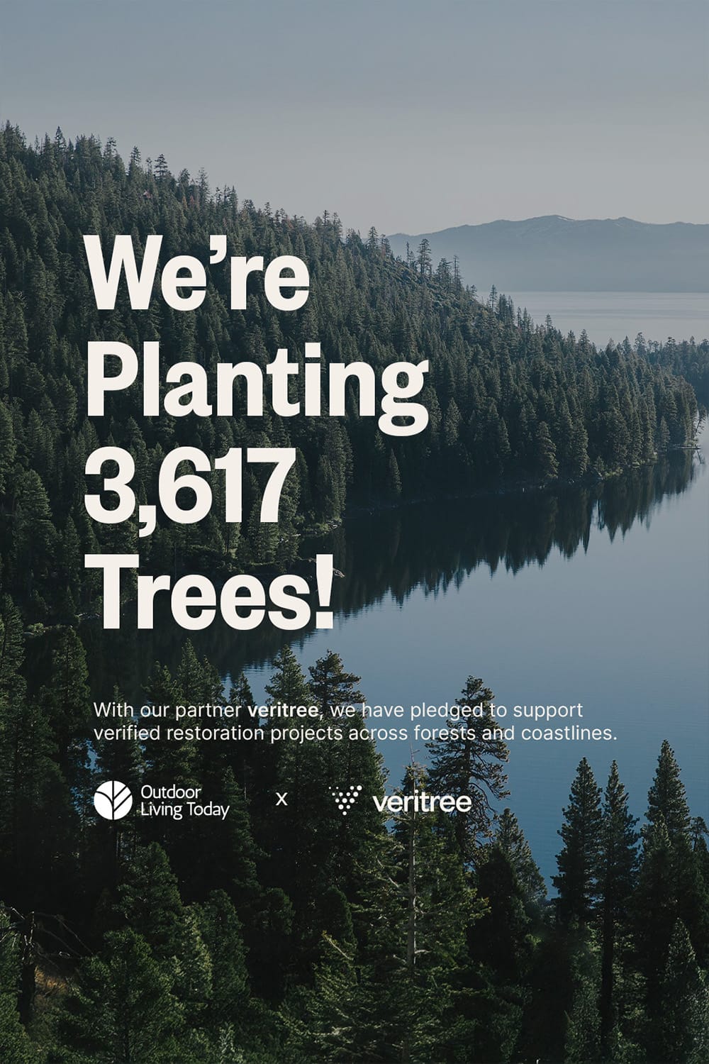 veritree Partnership With Outdoor Living Today Forest Reforestation Partner 12