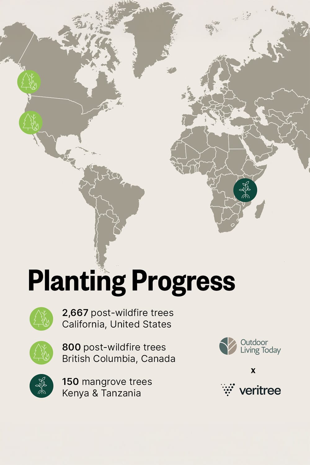 veritree Partnership With Outdoor Living Today Forest Reforestation Partner 15