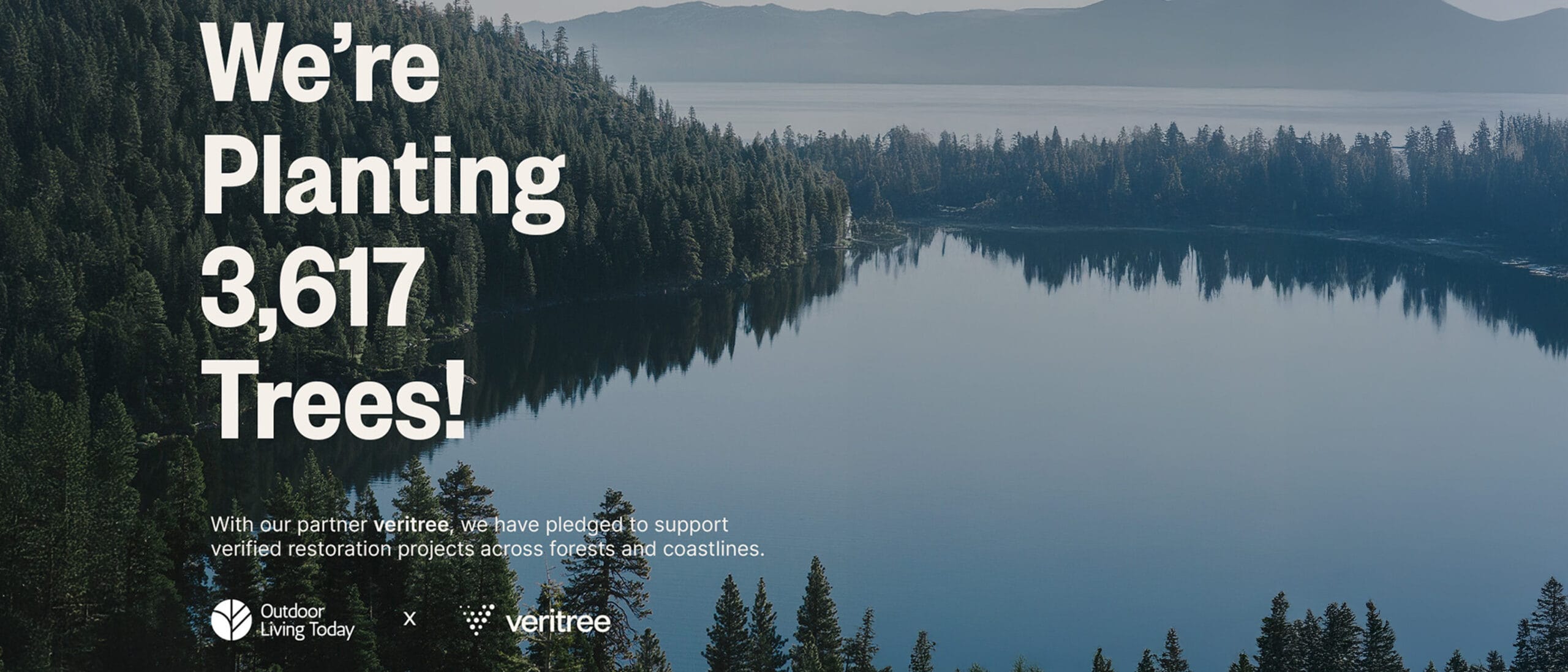 Learn More - Grow With Us: Your Reforestation Impact | OLT × veritree