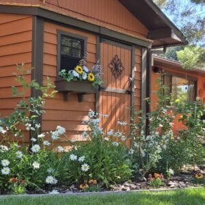 OLT shed Roberts 1
